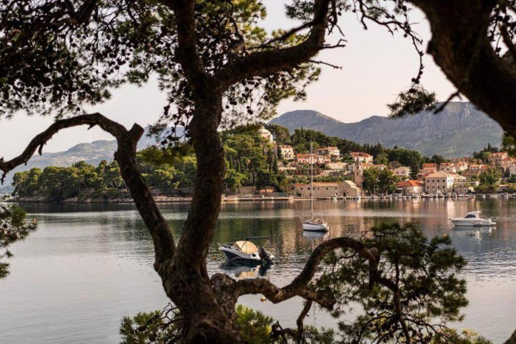 Apartment Biggy Cavtat Εξωτερικό φωτογραφία